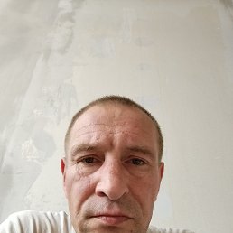 , 44, 