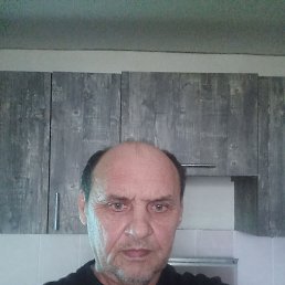 , 59, 