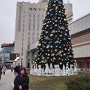 ���� ������, ������ - ��������� 3 ������ 2026 � ������ ���� ����������