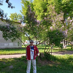 ������, ������ ��������, 45 ���