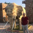 ���� �����, ���������, 57 ��� - ��������� 8 ������ 2025 � ������ ���� ����������