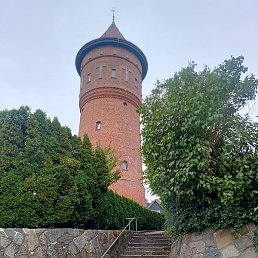 Frman, �����������, 35 ���