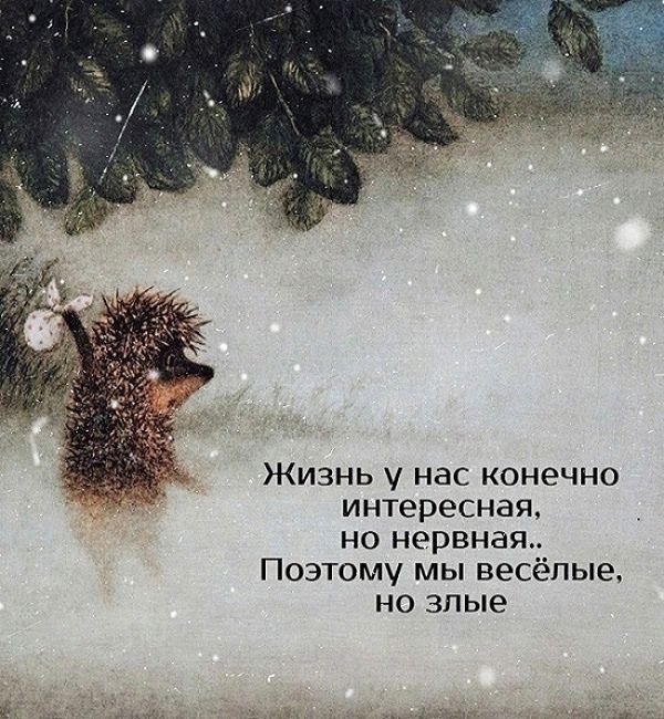   - 23  2025  22:31