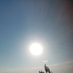 ���� ����� �����, ������ - ��������� 18 ������� 2024