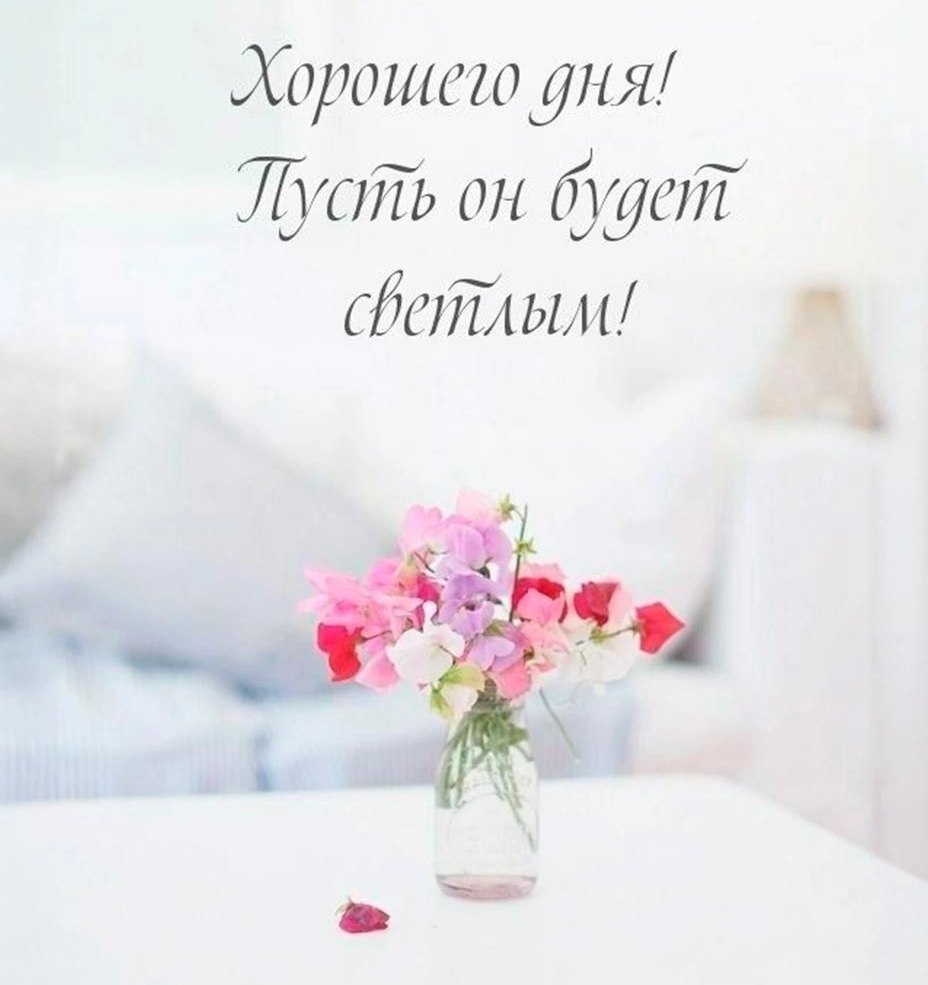  ,    . - 8  2025  11:16