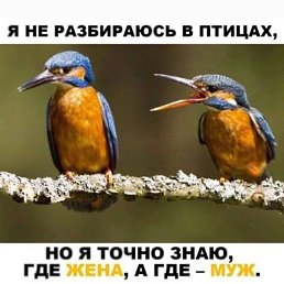 �����, ������, 39 ���