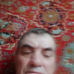 , 53 , 