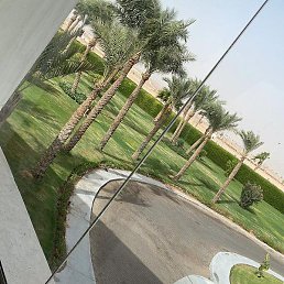 ��������, ������, 43 ����