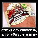 ���� Vl@d, ������� - ��������� 1 ���� 2026 � ������ ���������...�