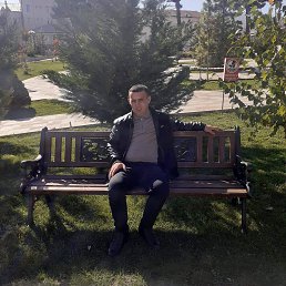 ����, 37 ���, ���������