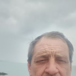  , 61 , 