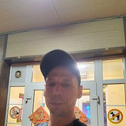 �������, ���������, 41 ���