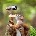 ���� �����, ���������� - ��������� 27 ������� 2023 � ������ ������ ��������