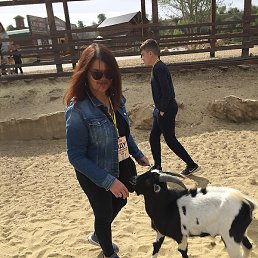 �����, �������, 51 ���