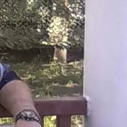 ����, ������, 64 ����