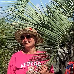 �����, ������, 51 ���