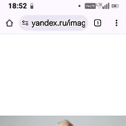 �����, 66 ���, �����-���������