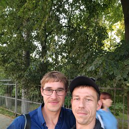 , 33,  