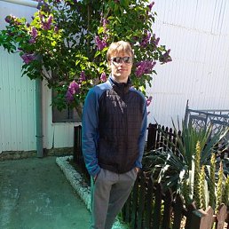 ���������, ���������, 37 ���