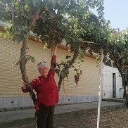 Елена, 59 лет, Владивосток Елена, 59 лет, Владивосток