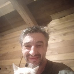 , 50, 