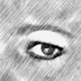 ��������, ������, 46 ���