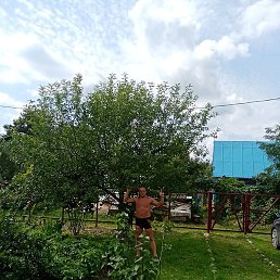 ������, ���������, 46 ���