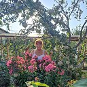 ���� ���������, ������, 66 ��� - ��������� 21 ������ 2024 � ������ ���� ����������