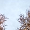 ���� ����, ������������, 60 ��� - ��������� 27 ������ 2026