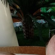 ������, 36 ���, �����