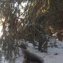 ���� �����, ���������� - ��������� 9 ������� 2025 � ������ ���� ����������