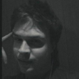 , 29, 