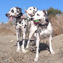 ���� ���� ��������, ������, 43 ���� - ��������� 5 ������� 2024