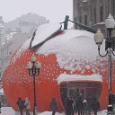 ���� ������ ����, ������, 49 ��� - ��������� 10 ������ 2026 � ������ ������ ��������