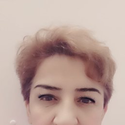 ���� �����, ������, 53 ���� - ��������� 1 ������� 2024
