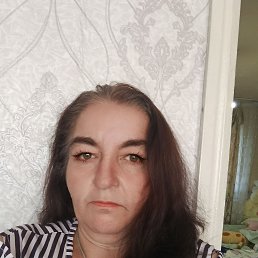 ���� ��������, ������, 54 ���� - ��������� 14 ���� 2026