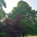 ���� Alexander, ������, 62 ���� - ��������� 1 ������� 2023 � ������ �������