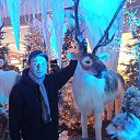 ���� ������, �����, 41 ��� - ��������� 18 ������� 2023 � ������ ���� ����������