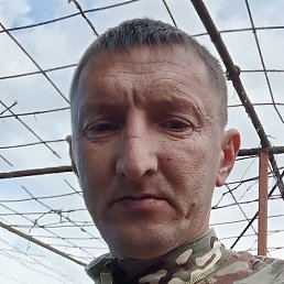 ������, ���������, 45 ���