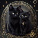 ���� ������, ��������, 52 ���� - ��������� 26 ���� 2025