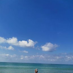 ���� ������, ������, 41 ��� - ��������� 5 ����� 2026