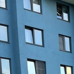 �����, �����������, 54 ����