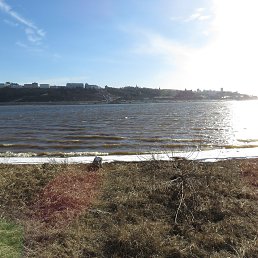 ���� ������, ������, 41 ��� - ��������� 23 ����� 2026