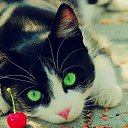 ���� L E G E N D, ���� - ��������� 17 ������ 2026 � ������ ���� ����������