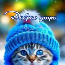 ���� �������, ����, 40 ��� - ��������� 3 ������ 2024 � ������ ���� ����������