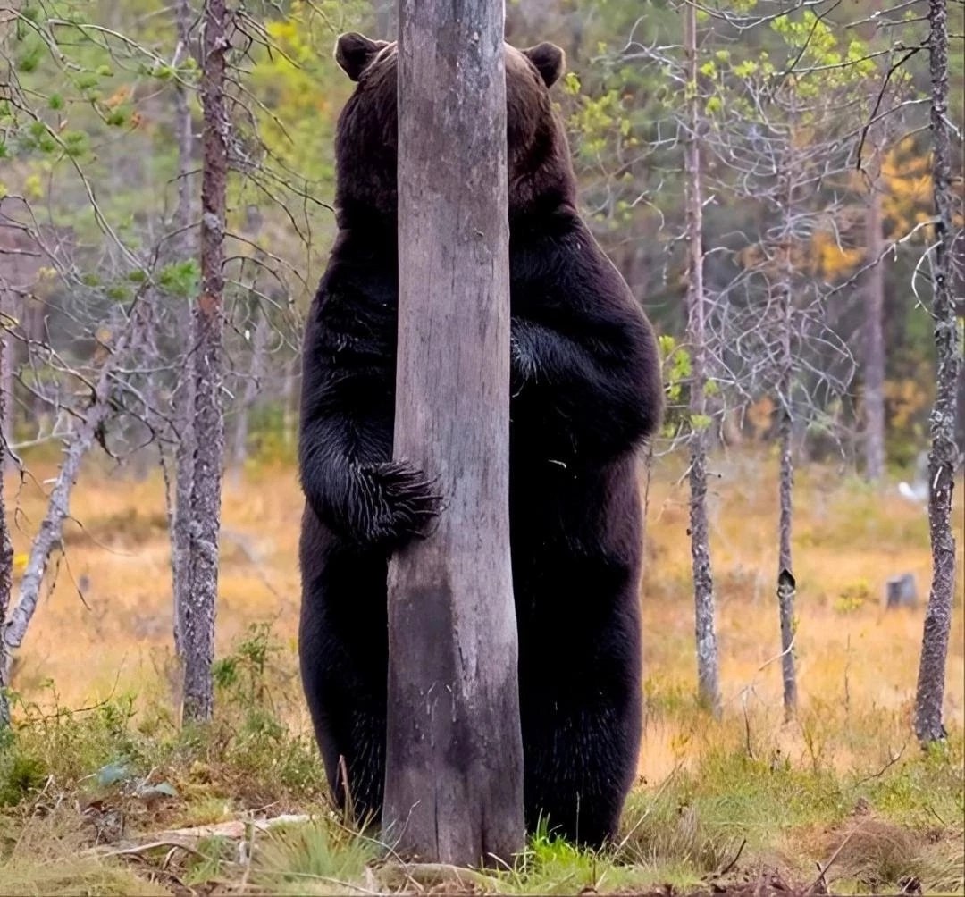 ������� �� ������������� ������ �������������, ���������������� ��� �� ���������, ���� � ��� ...