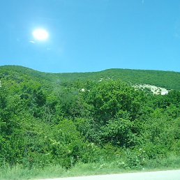 ������, �������, 78 ���