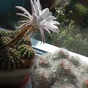 ���� ������, ������� - ��������� 23 ������ 2025 � ������ ���� ���������.�