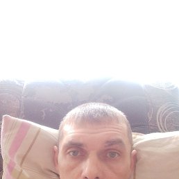 , 40 , 