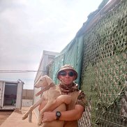 ������� �����, 38 ���, �����-���������